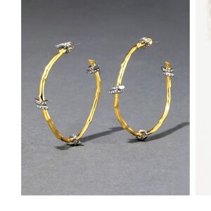 Alexis Bittar hoops earrings new